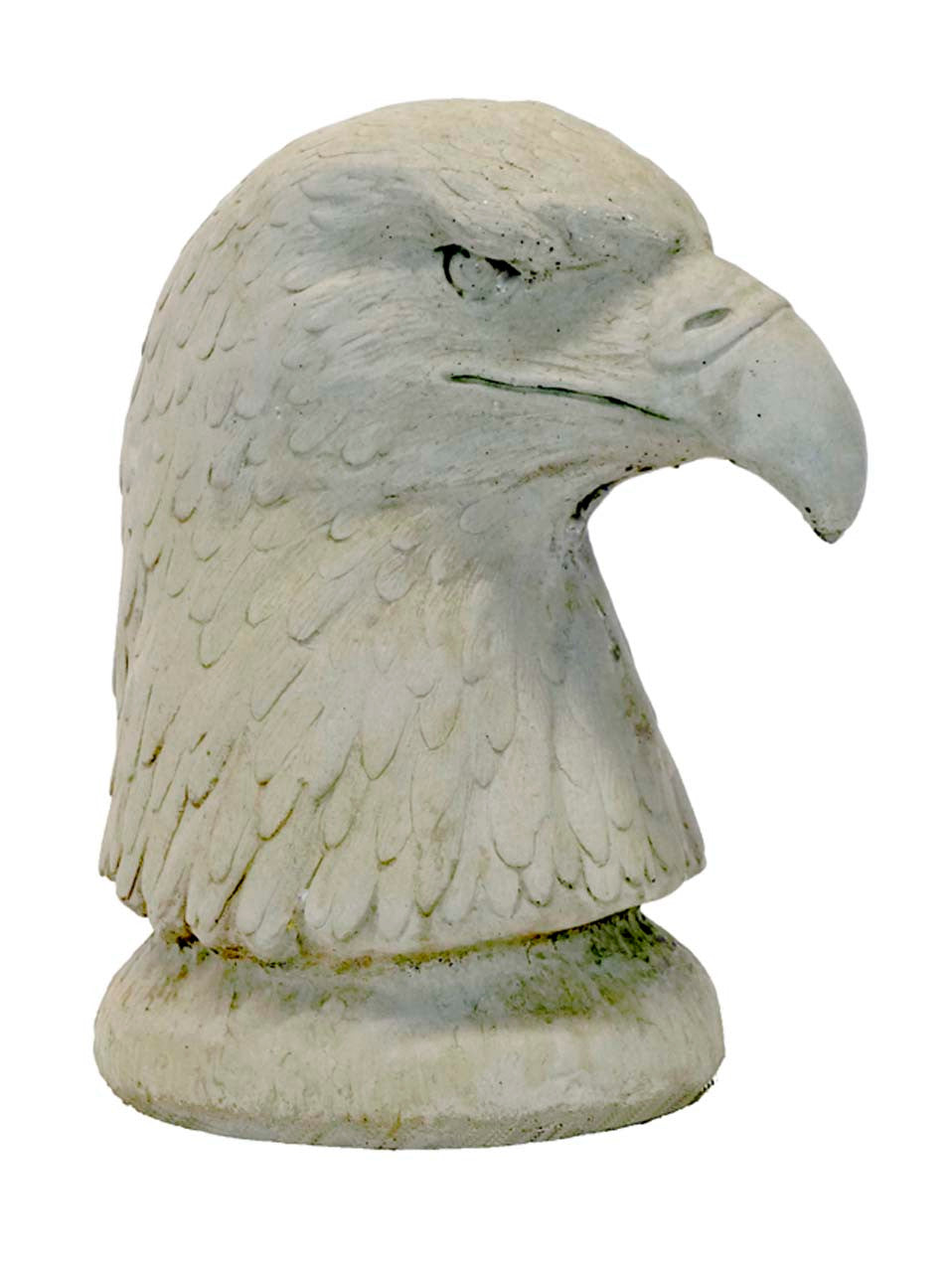 Eagle Bust 13" tall