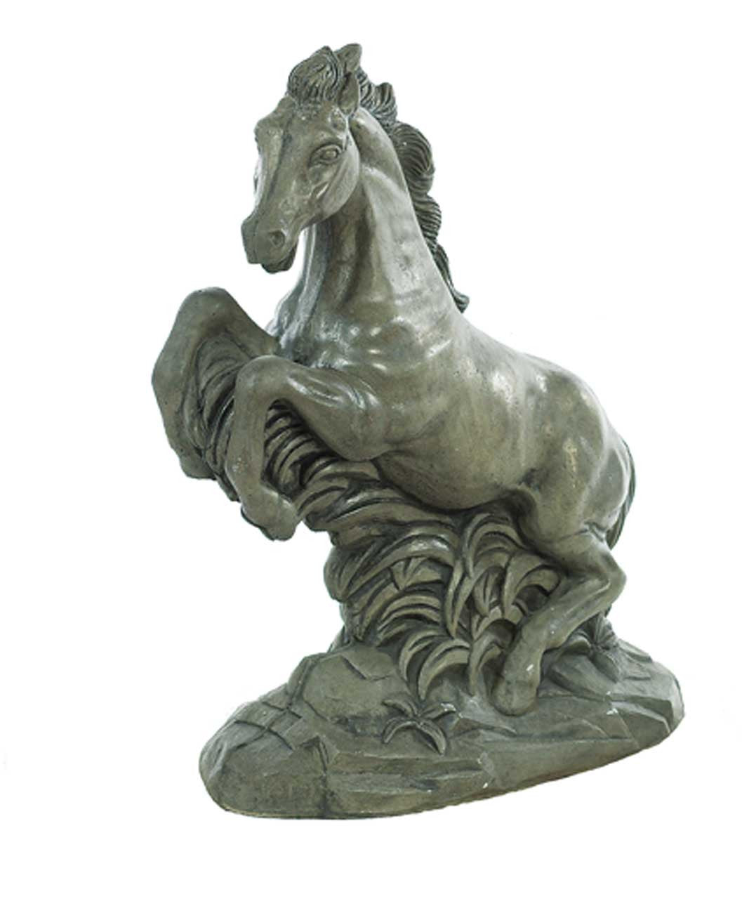 Horse - Stallion