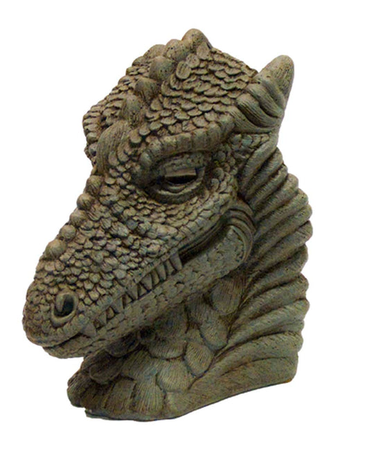 Dragon Head