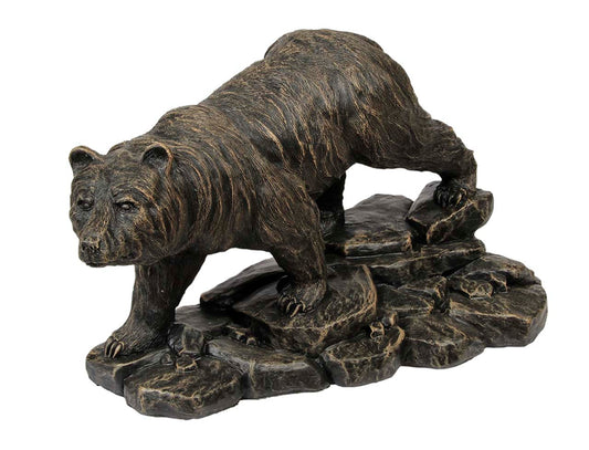 Bear - On Rocks