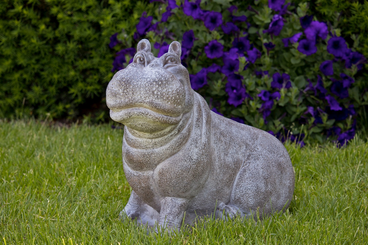 Henri the Hippo