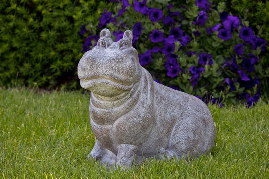 Henri the Hippo