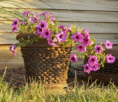 Shimmering Stones Planter