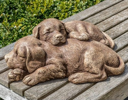 Dog - Nap Time Puppies