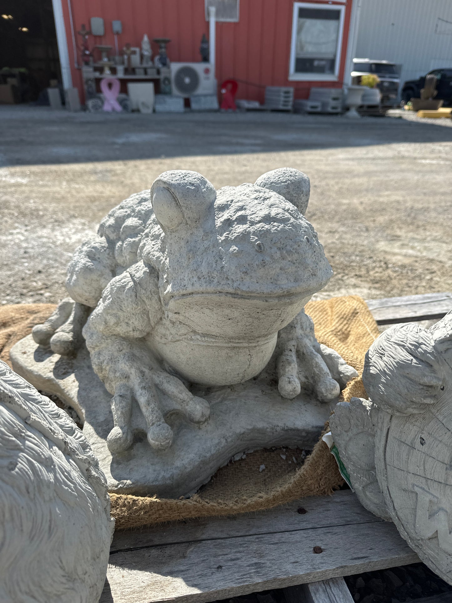 Frog 13" tall