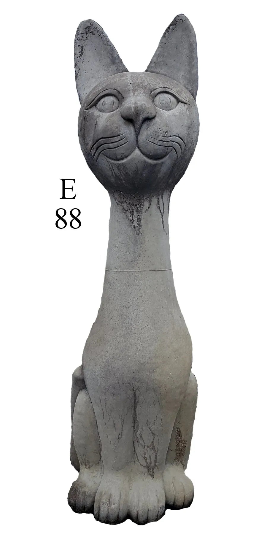 Cat - 6'