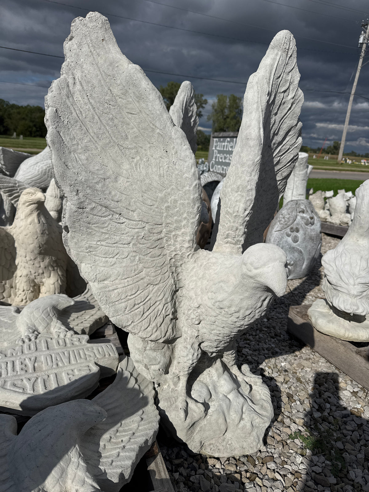 Eagle - 35" tall on Rock