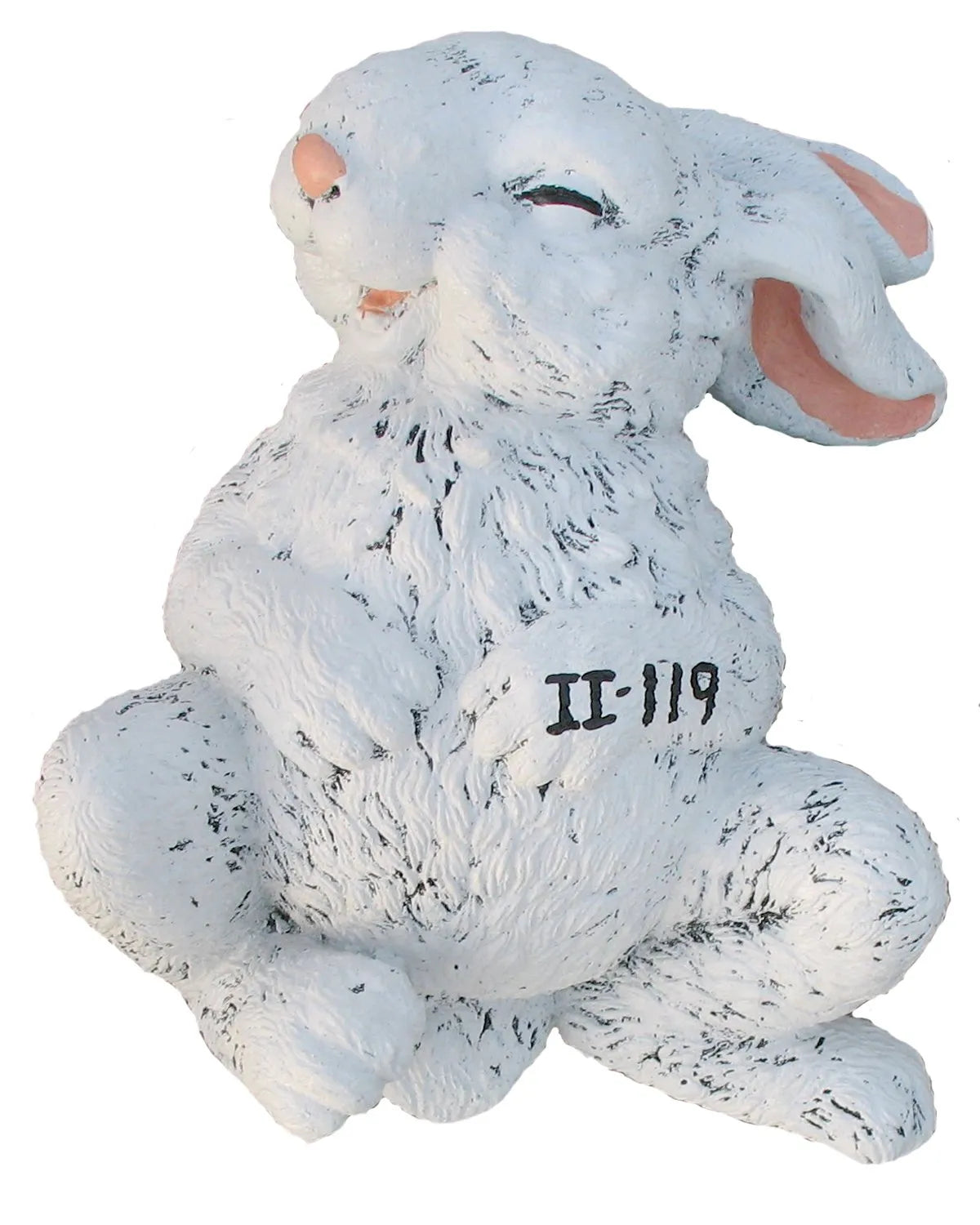 Rabbit Laying on Back