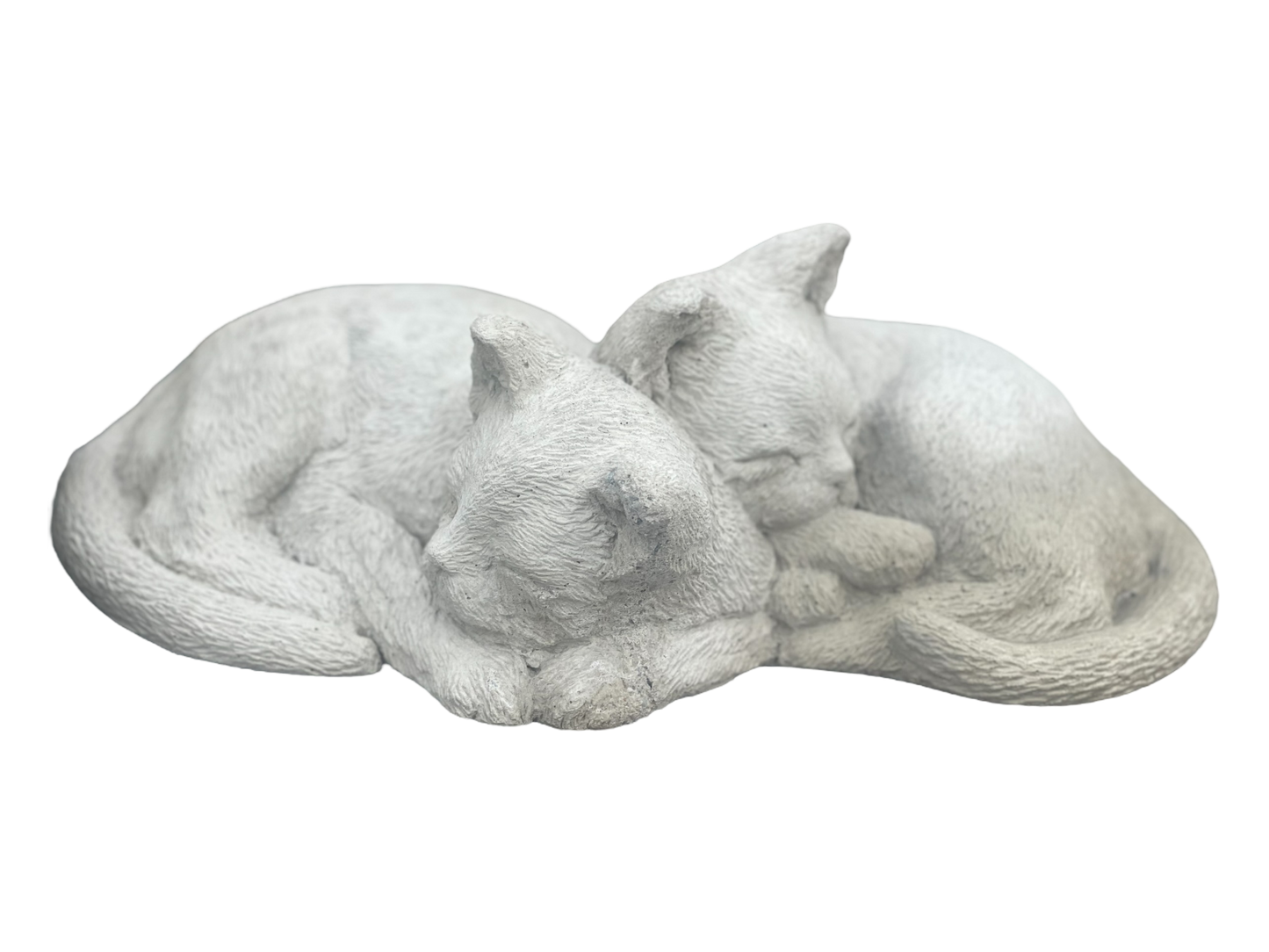 Cat - Nap Time Kittens