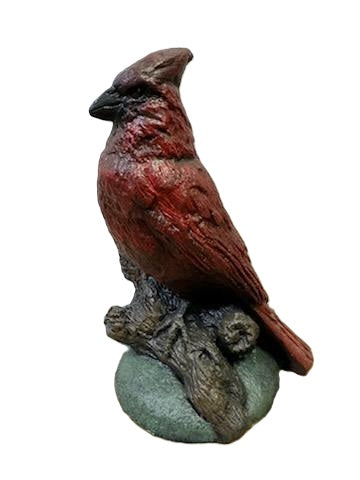 Bird - Northern Cardinal