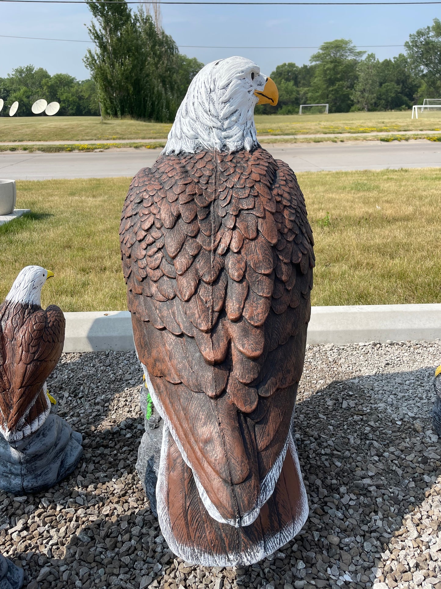 Eagle - Giant