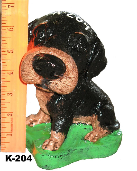 Dog - Bighead Lab