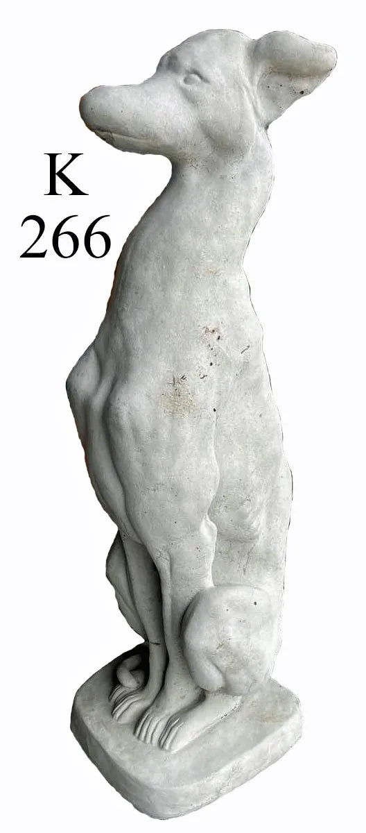 Dog - Tall Skinny Dog