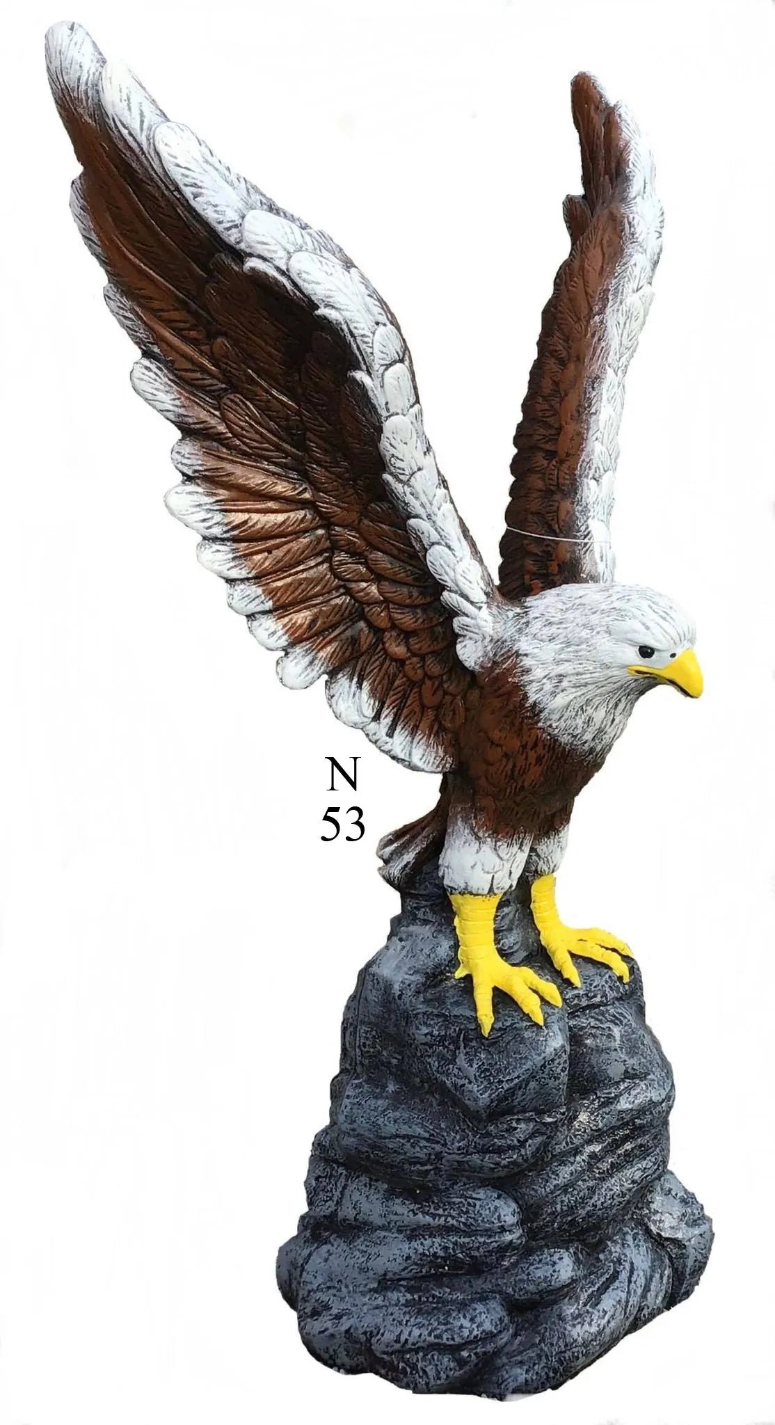 Eagle with Wings Out on Rock