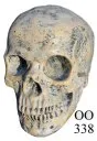 Skull - 6" tall