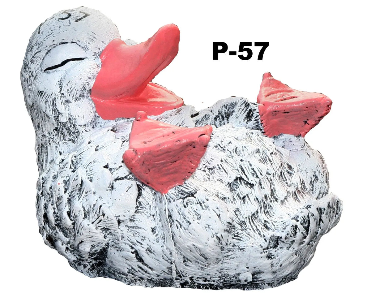 Duck - On back Laughing