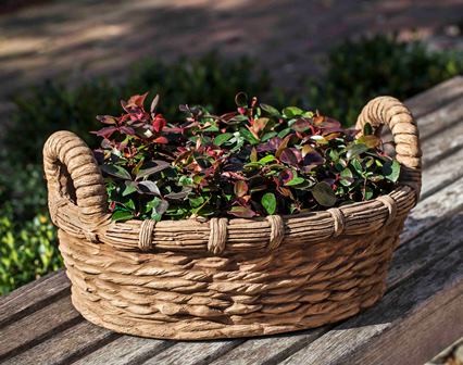 Provencal Basket Planter