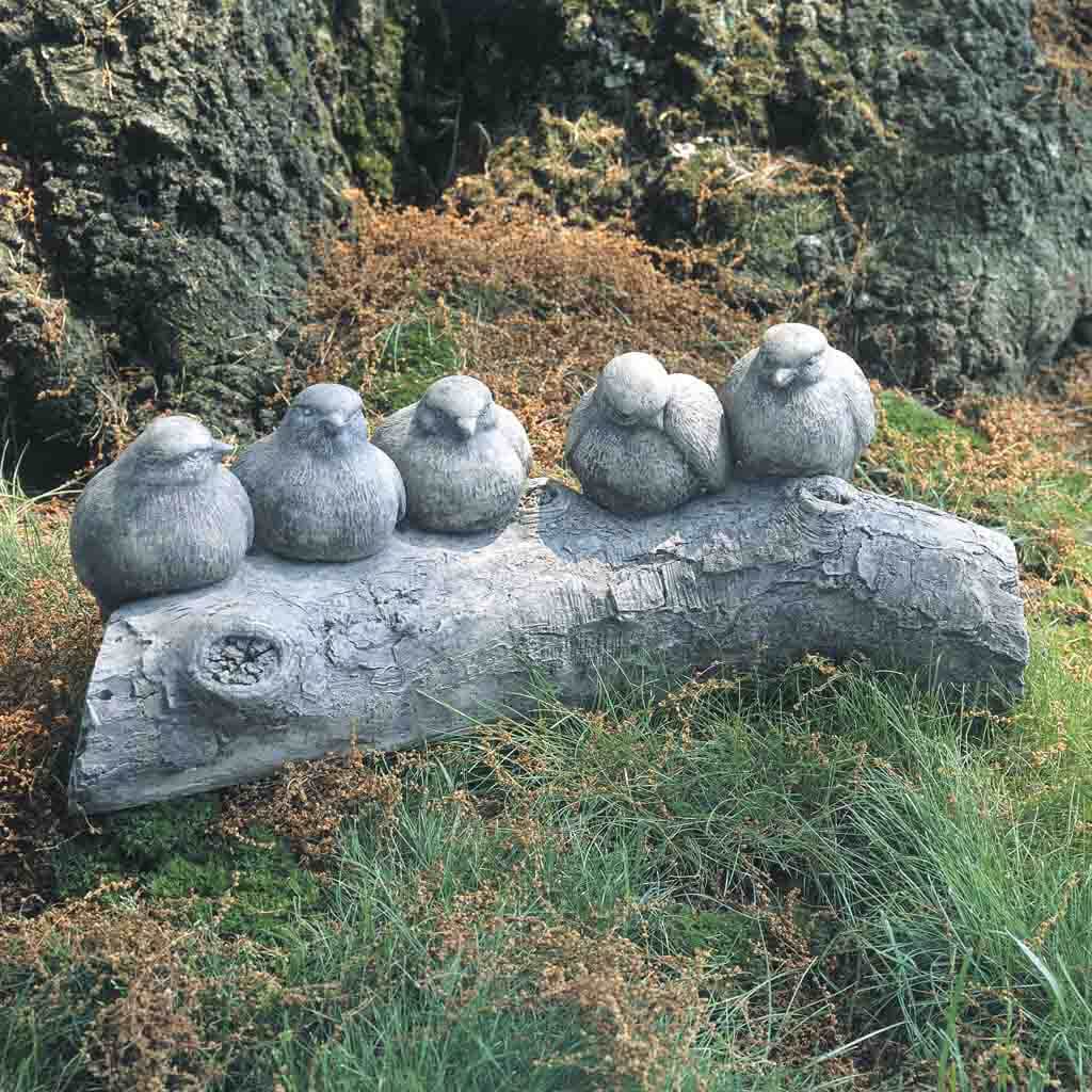 Birds on a log