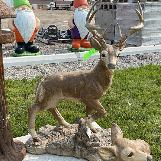 Deer - Standing Buck
