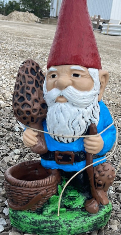 Gnome - Papa Gnome with Mushrooms