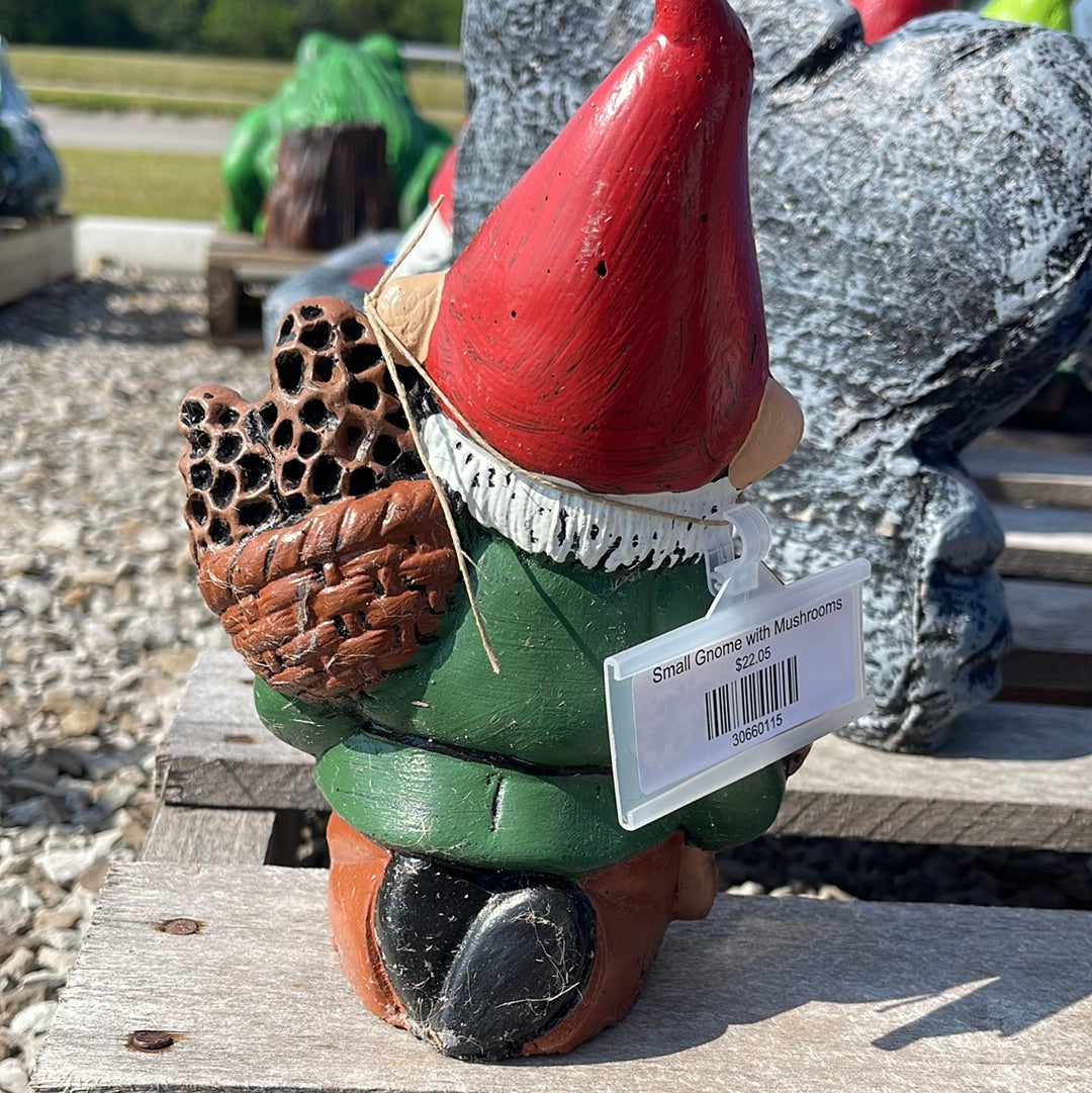 Gnome with Mushrooms - Small