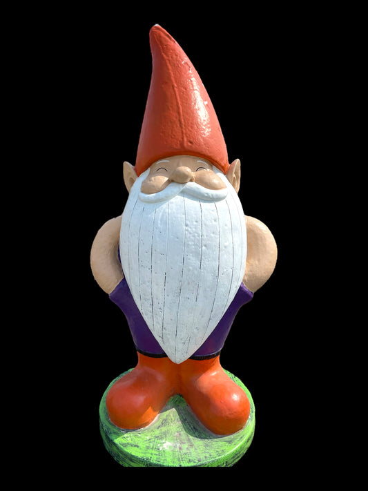 Gnome 5'