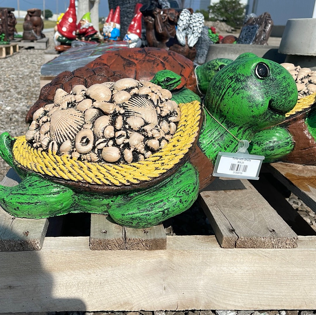 Turtle with Shells