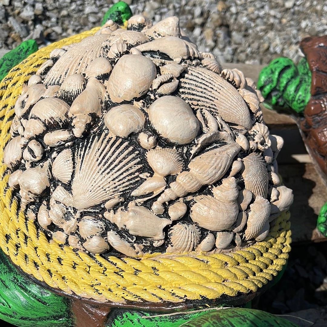 Turtle with Shells