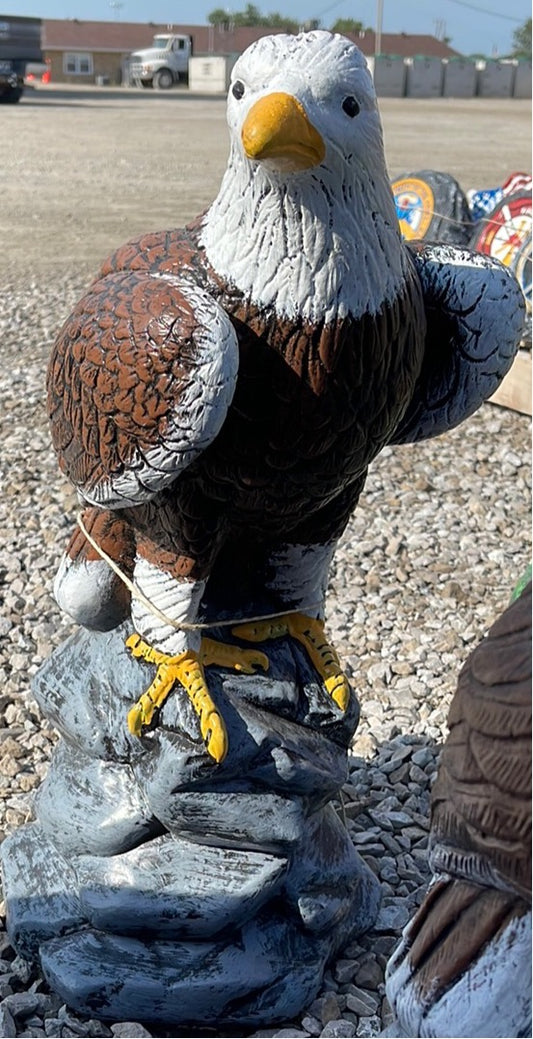 Eagle - Large Perched Eagle