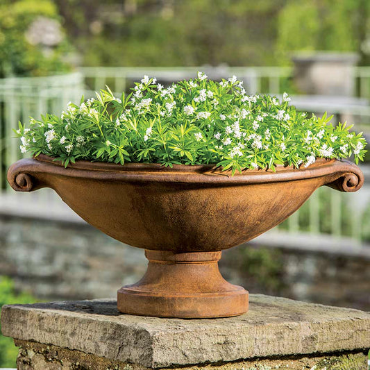 Medici Planter, Small